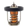 60ºC Thermostat Suzuki 8-30hp 4h