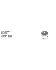 25-30 HK Stamp to Tohatsu