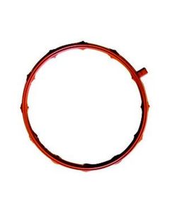 intake Gasket